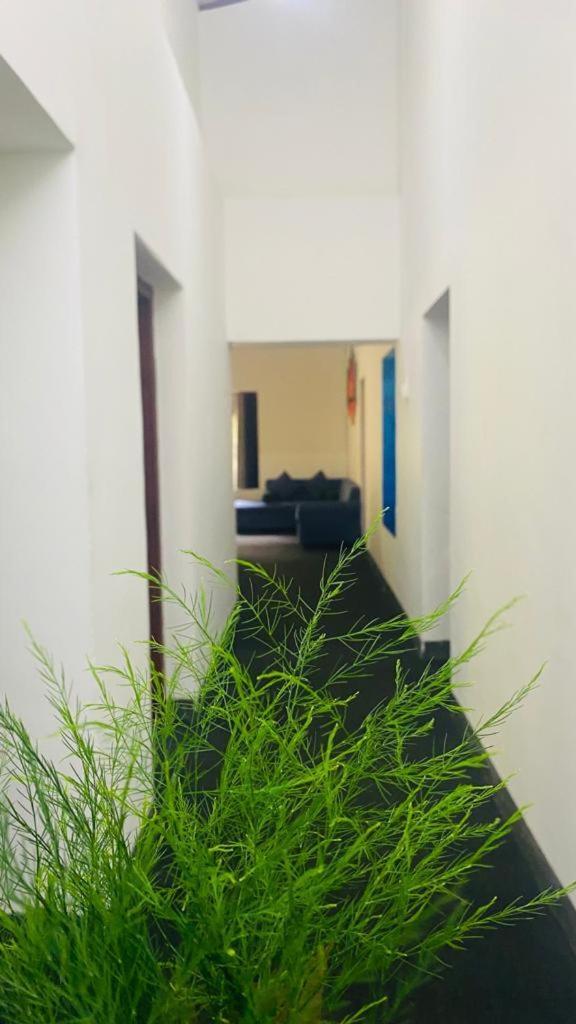 Tearamb Holiday Bungalow Otalawa エクステリア 写真